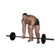Barbell Curl - Bent Over